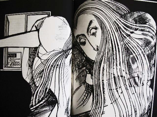 Ralph Steadman house